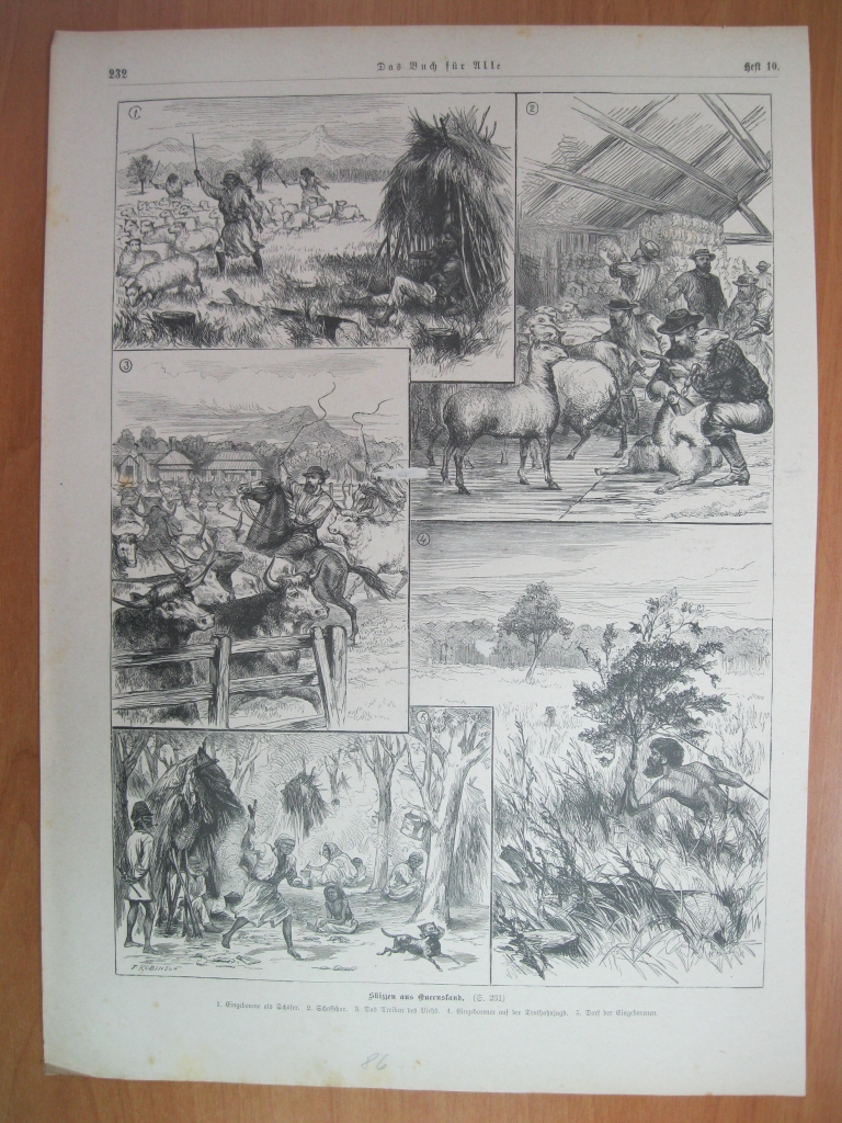 Escenas ganaderas y de caza en Queensland (Sudáfrica), 1886